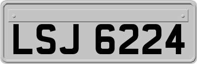LSJ6224