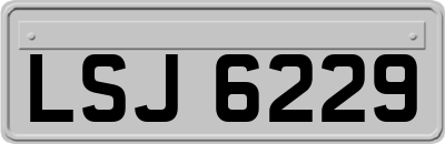 LSJ6229