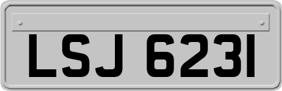 LSJ6231