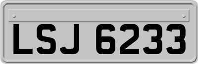 LSJ6233