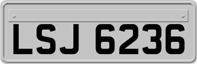 LSJ6236