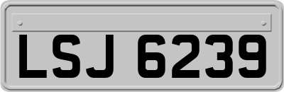 LSJ6239