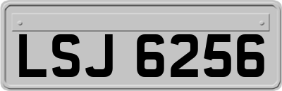 LSJ6256