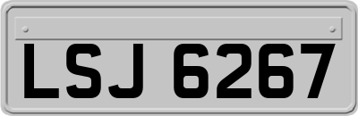 LSJ6267