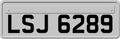 LSJ6289