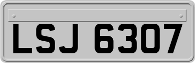 LSJ6307