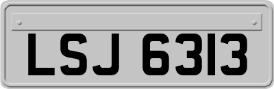 LSJ6313