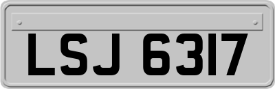 LSJ6317