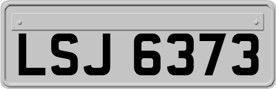 LSJ6373