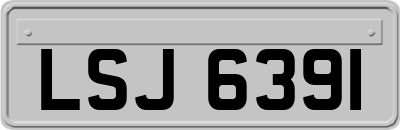 LSJ6391
