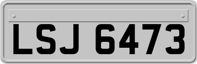 LSJ6473