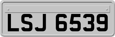 LSJ6539