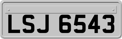 LSJ6543