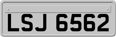 LSJ6562