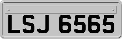 LSJ6565
