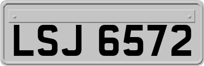 LSJ6572