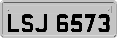LSJ6573