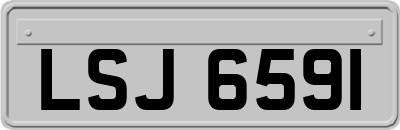 LSJ6591