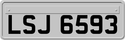 LSJ6593