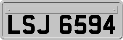 LSJ6594