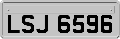 LSJ6596