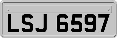 LSJ6597