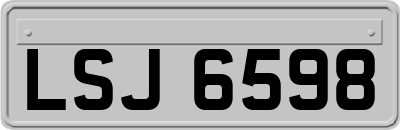LSJ6598