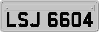 LSJ6604