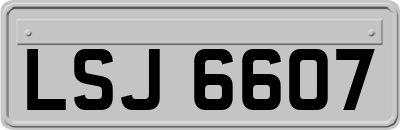 LSJ6607