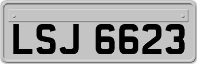 LSJ6623