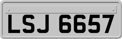 LSJ6657