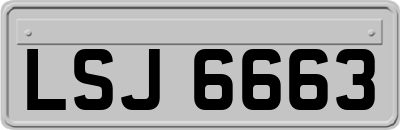 LSJ6663