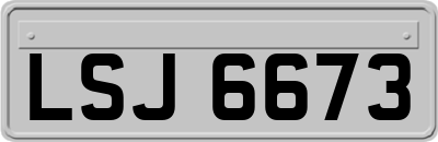 LSJ6673
