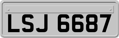 LSJ6687