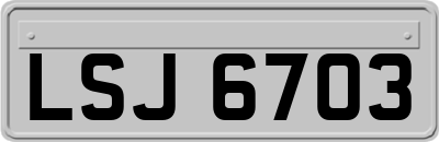 LSJ6703