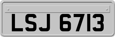 LSJ6713