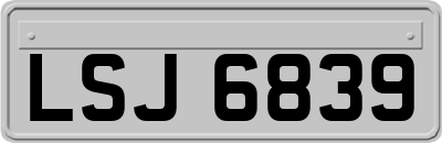 LSJ6839