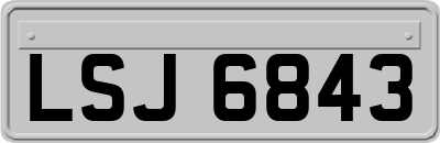 LSJ6843