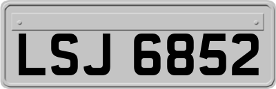 LSJ6852