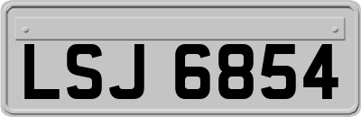 LSJ6854