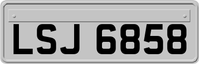 LSJ6858