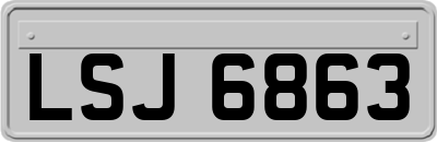 LSJ6863