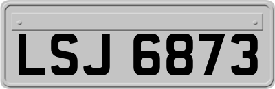 LSJ6873