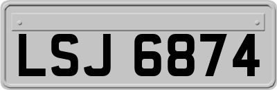 LSJ6874