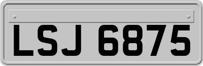 LSJ6875