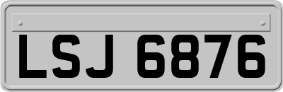 LSJ6876