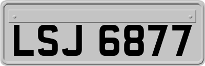 LSJ6877