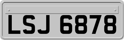 LSJ6878
