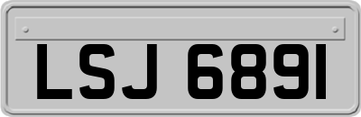 LSJ6891