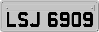 LSJ6909